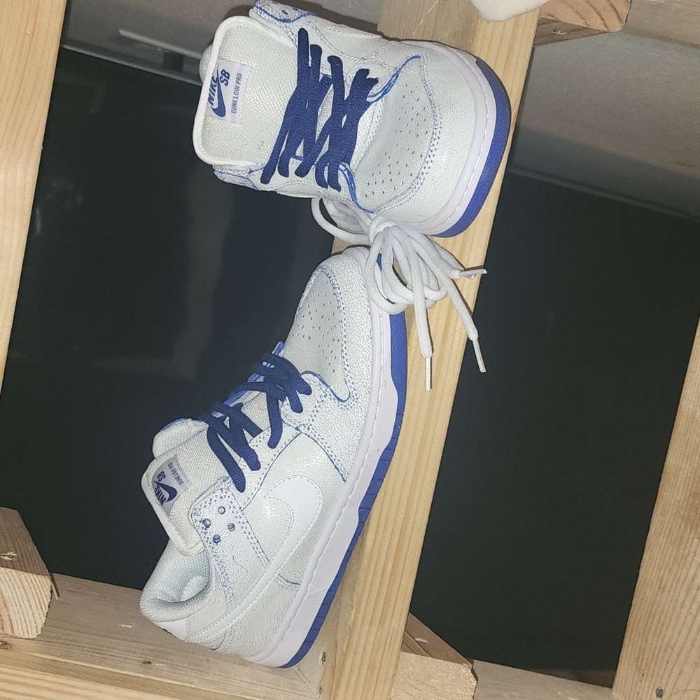 RARE!! Nike Dunk low Distresed SB